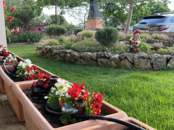 Apartments Myrta Krk (Island Krk)