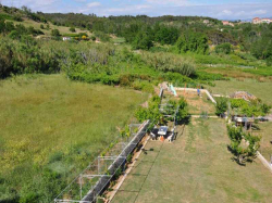 Apartments Perić Lopar (Island Rab)