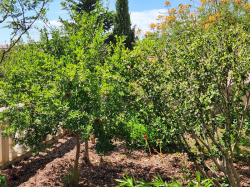 Apartments Karlobag Karlobag