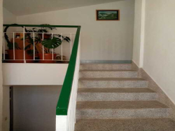 Apartments Perić Lopar (Island Rab)