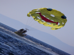 Apartmani i sobe Danica Podaca