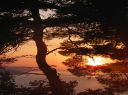 Apartmani i sobe Danica Podaca