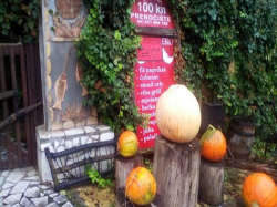 Appartements Guesthouse Zeko Aljmaš Aljmas