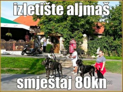 Appartements Guesthouse Zeko Aljmaš Aljmas