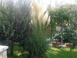 Appartements Derencinovic Baska (Ile Krk)