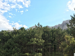 Appartements Lisac-Baška Baska (Ile Krk)