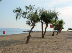 Appartements Ankorica Duce