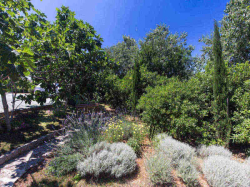Appartements Villa Val Krk (Ile Krk)