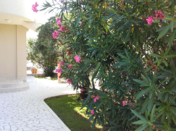 Appartements Villa Val Krk (Ile Krk)