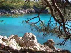 Appartements Kukić  Krk (Ile Krk)