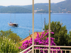 Appartements Pelješac apartmani – Orsula Kuciste (Peninsule Peljesac)