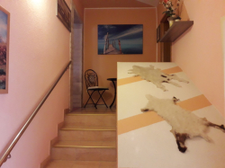 Appartements Vivien Kustici (Ile Pag)