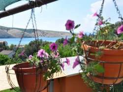 Appartements Arabela Lopar (Ile Rab)