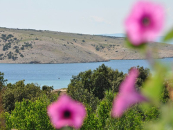 Appartements Arabela Lopar (Ile Rab)