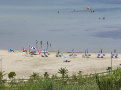 Appartements Damir Lopar (Ile Rab)