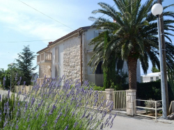 Appartements Smiljana - Mala Duba Mala Duba