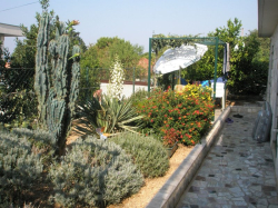 Appartements Smiljana - Mala Duba Mala Duba