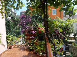 Appartements Apartmani  Vodarić Mali Losinj (Ile Losinj)