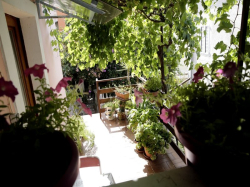 Appartements Apartmani  Vodarić Mali Losinj (Ile Losinj)