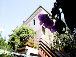 Appartements Apartmani  Vodarić Mali Losinj (Ile Losinj)