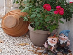 Appartements Šegota Novalja (Ile Pag)