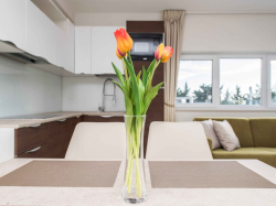 Appartements Šarkić Novalja (Ile Pag)