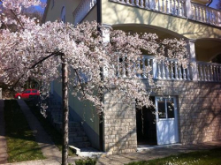 Appartements Ban Omisalj (Ile Krk)