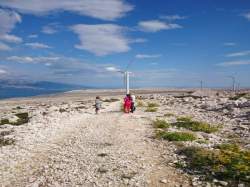 Appartements Horvat Pag (Ile Pag)