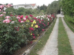 Appartements Nedo  Pakostane