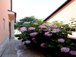 Appartements Mare Porec