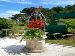 Appartements Lori  Porec
