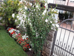 Appartements Apartmani.Dragica Porec