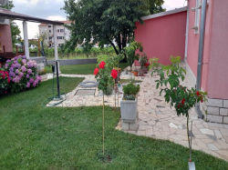 Appartements Apartmani.Dragica Porec