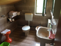 Appartements Apartmani Bencic Premantura
