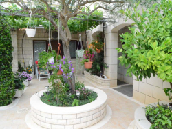 Appartements Apartmani Darija & Pero Pucisca (Ile Brac)