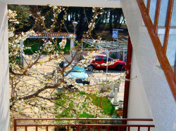 Appartements Lido  Savudrija