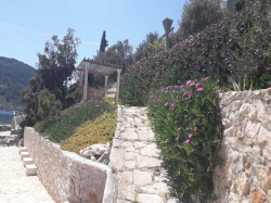 Appartements villa rosa Vela Luka (Ile Korcula)