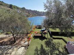 Appartements villa rosa Vela Luka (Ile Korcula)