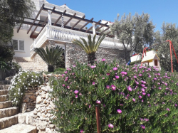 Appartements villa rosa Vela Luka (Ile Korcula)