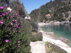 Appartements villa rosa Vela Luka (Ile Korcula)