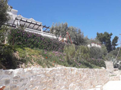 Appartements villa rosa Vela Luka (Ile Korcula)