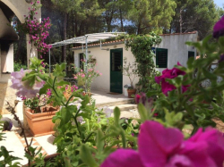Appartements Ivan Veli Rat (Ile Dugi Otok)