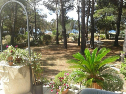 Appartements Ivan Veli Rat (Ile Dugi Otok)