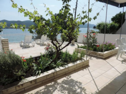 Appartements Perica Viganj (Peninsule Peljesac)