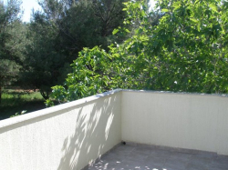Appartements Vir  - apartman slobodan od 22.8. Vir (Ile Vir)