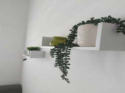 Appartements  Rusan, Bobovik Vir (Ile Vir)