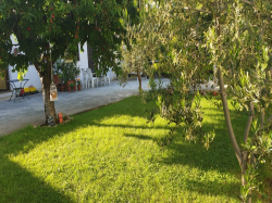 Appartements Bogdan Vodice