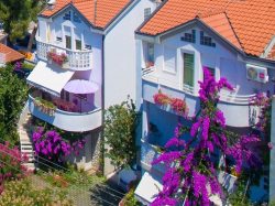 Appartements Mimosa Vodice