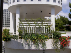 Appartements Mimosa Vodice