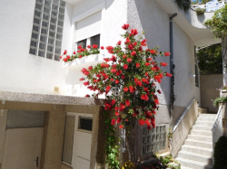 Appartements Mimosa Vodice